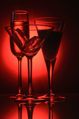 glasses with ice and cocktails
