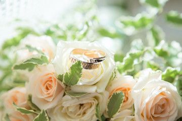 Two wedding rings