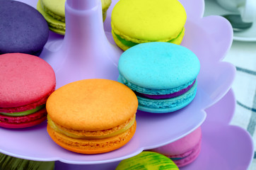Colorful macaroons on purple plastic tray, Selective focus
