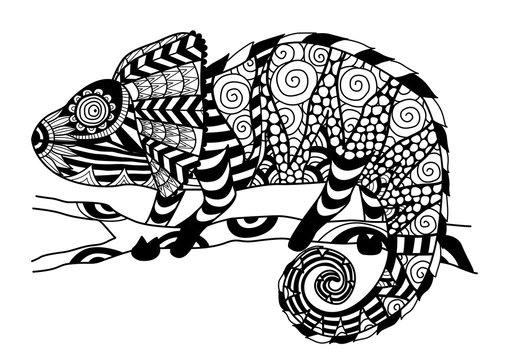 Hand drawn chameleon zentangle style for coloring book,shirt design effect,logo,tattoo and other decorations.