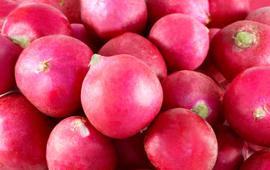 Beautiful delicious red radish