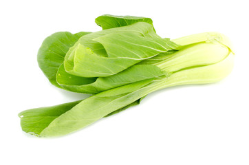 green raw Pak Choi ( Chinese Cabbage) isolated on white background