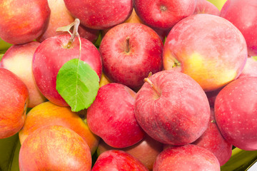 Fototapeta na wymiar Pile of an apples closeup