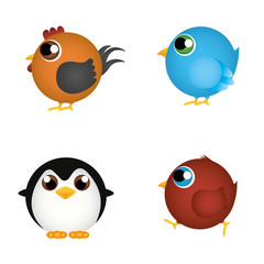 Cute birds