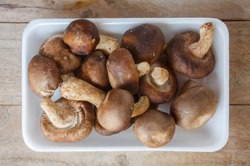 Shiitake mushroom on wooden table