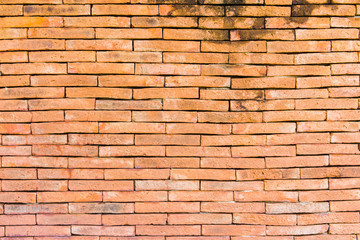 Fototapeta premium Old Brick Wall