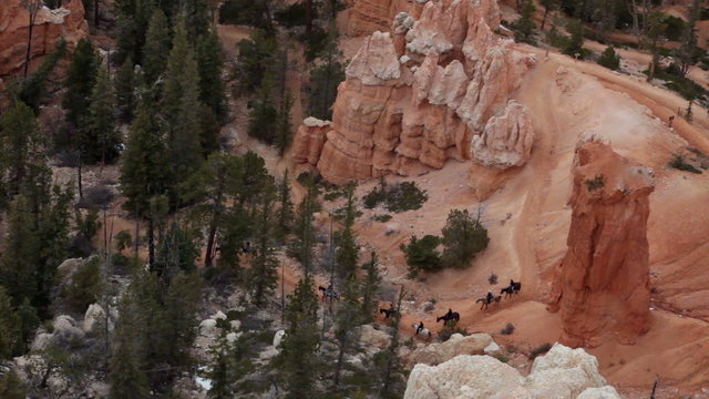 Bryce Canyon trail ride on horse P HD 9750