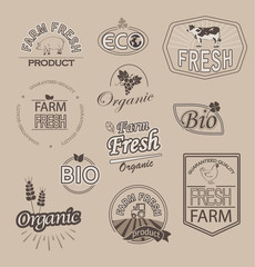 Set of badges and labels elements for organic fnd farm fresh food, vector.