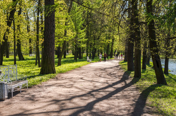 Summer landscape of Catherine Park, Pushkin (Tsarskoe Selo), Russia.