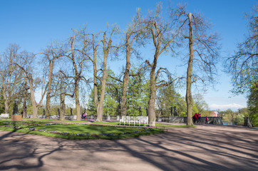 Summer landscape of Catherine Park, Pushkin (Tsarskoe Selo), Russia.