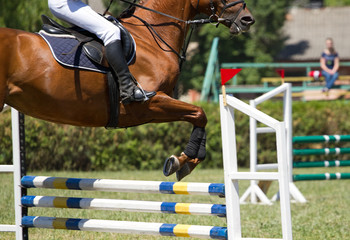 Horse jump a hurdle in competition