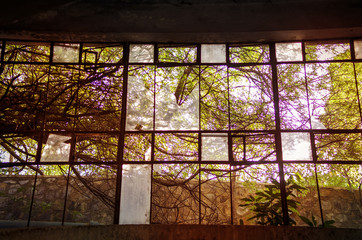 Big glass window colourful sunlight