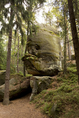 Fototapeta na wymiar Autumn Forest with Sandstone Statues in Bohemian Paradise, Czech Republic