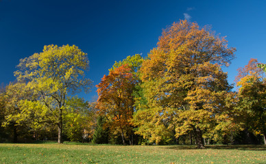 Autumn colorful landscape in the Catherine park in Pushkin (Tsarskoe Selo), St.Petersburg, Russia. 