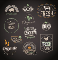 Set of badges and labels elements for organic fnd farm fresh food, vector.