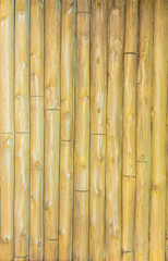 bamboo background