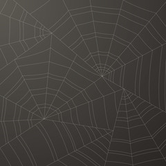 Spider web or cobweb vector background for halloween.