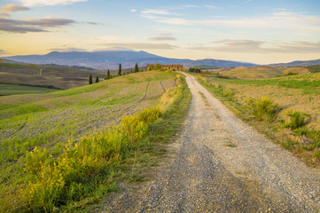 Fototapeta na wymiar country road leading to an agriturismo in Tuscany