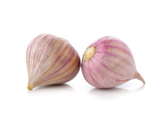 garlic on white background