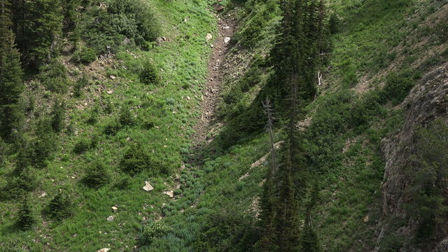 Aerial flight down forest mountain side 4K 364