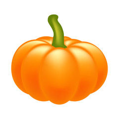 Halloween pumpkin realistic vector illustration isolated on white background. Image created with gradient mesh.