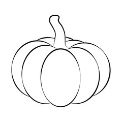 Halloween pumpkin outline, contour vector illustration isolated on white background.