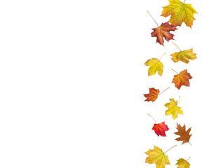 Fallendes Herbstlaub