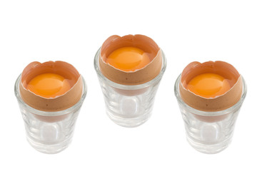 isolated  eggs