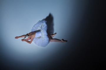 Portrait of the ballerina in ballet tatu on blue background