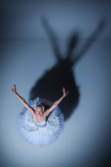 Fototapeta premium Portrait of the ballerina in ballet tatu on blue background