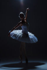 Portrait of the ballerina in ballet tatu on dack background