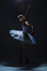 Portrait of the ballerina in ballet tatu on dack background