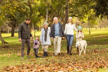Fototapeta premium Smiling extended family walking together