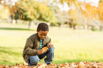 Little boy picking up some leaves