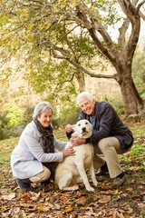Fototapeta premium Senior couple in the park