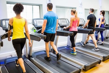 Fit people walking on treadmills