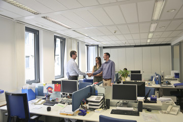 Colleagues in their office