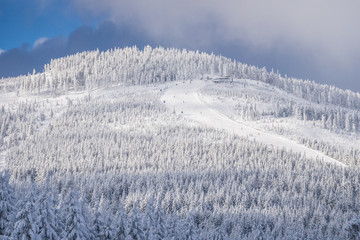 Ski slope in Czarna Góra during winter - obrazy, fototapety, plakaty