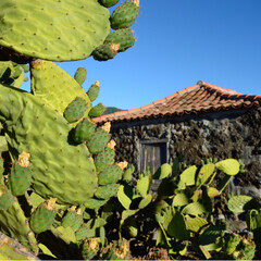 Historisches Haus, Kanaren, qu.