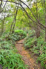 京都一周トレイル　西山コース　松尾山
