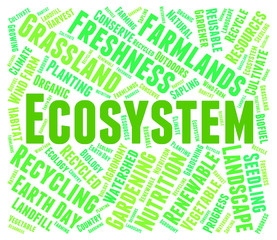 Ecosystem Word Indicates Earth Environmentally And Biospheres