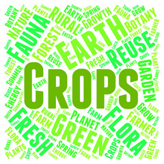 Crops Word Means Plant Grains And Yield