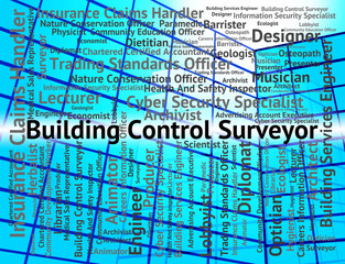 Building Control Surveyor Shows Position Employment And Surveyin