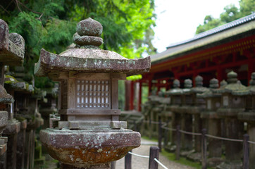 Old japanese lantern at Kasuga Taisha shrine