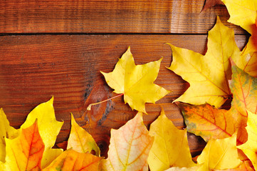 Autumn leaves over old wooden background. With copy space