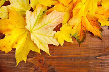 Naklejka na ściany i meble Autumn leaves over old wooden background. With copy space