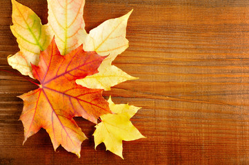 Naklejka na ściany i meble Autumn leaves over old wooden background. With copy space