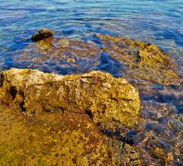 brown  stone in the coastline sunrise and light ocean white sky