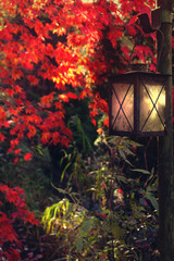 Fototapeta na wymiar Gartenlaterne im Herbst