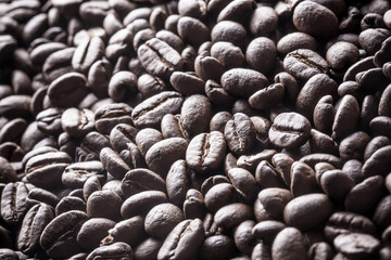 Coffee seed texture.
